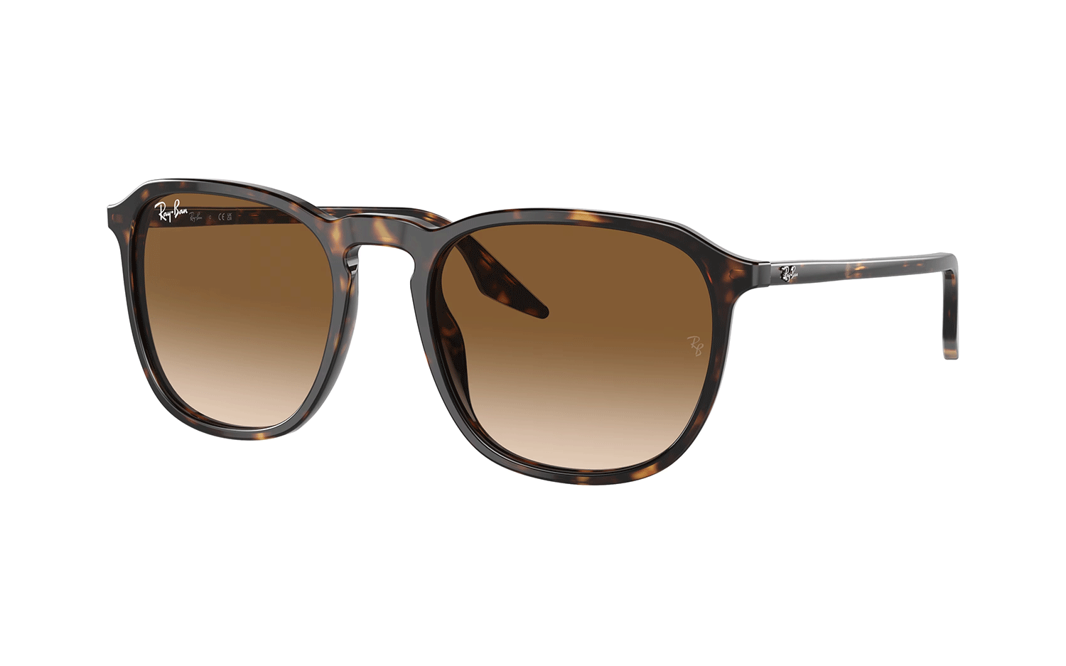 2025年 お歳暮・冬ギフト特集 サングラス 55 902/51 RB2203 Ray-Ban | Station Glasses 小物